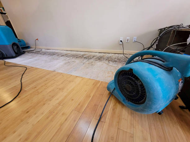 Professional Basement Flood Cleanup technician working in Orrs Island, ME